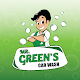 Mr. Green's Car Wash Download on Windows