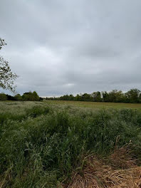 terrain à Saint-Lys (31)