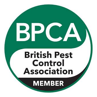 Member of the British Pest Control Association album cover