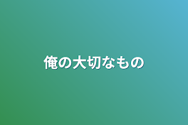 俺の大切なもの