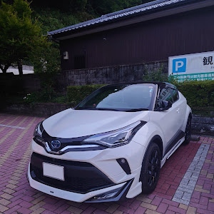 C-HR ZYX11