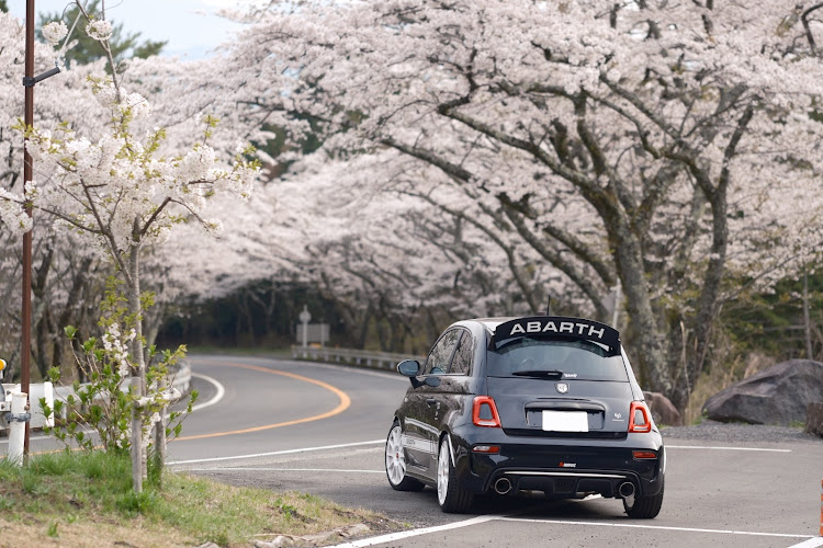 695のdiscover＿ct・ターンパイク・4月もよろしくお願い致します🌸・桜とコラボ・サクラと愛車に関するカスタム事例の投稿画像3枚目