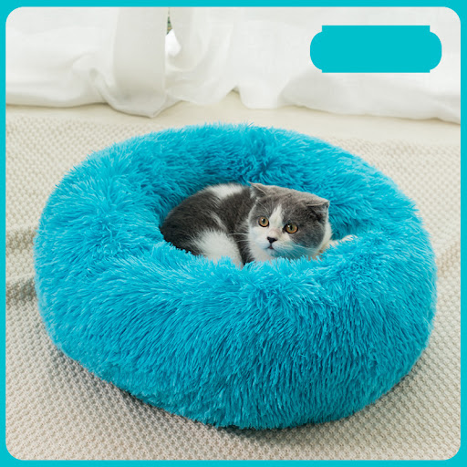 Title 3, Plush Warm Dog Bed In Winter Keep your dog cozy...