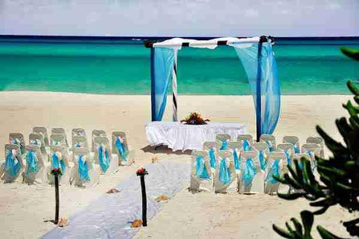 Outdoor Wedding Ideas