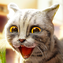 Icon Cat Simulator 2