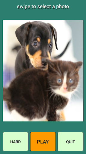 スウィート猫と犬のパズル