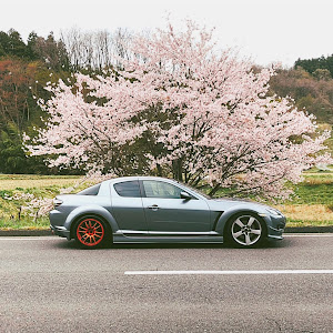 RX-8 SE3P