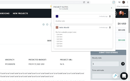 Project Notes for Codeable