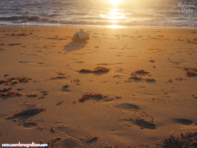 ferias praia mar sol paraiba nordeste espetaculo