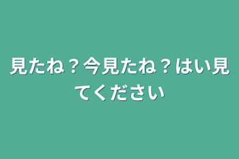 見たね？今見たね？はい見てください