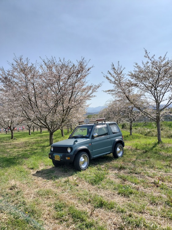 パジェロミニのパジェロミニのある生活・桜ばかりですみません😅・徳島散歩に関するカスタム事例の投稿画像5枚目