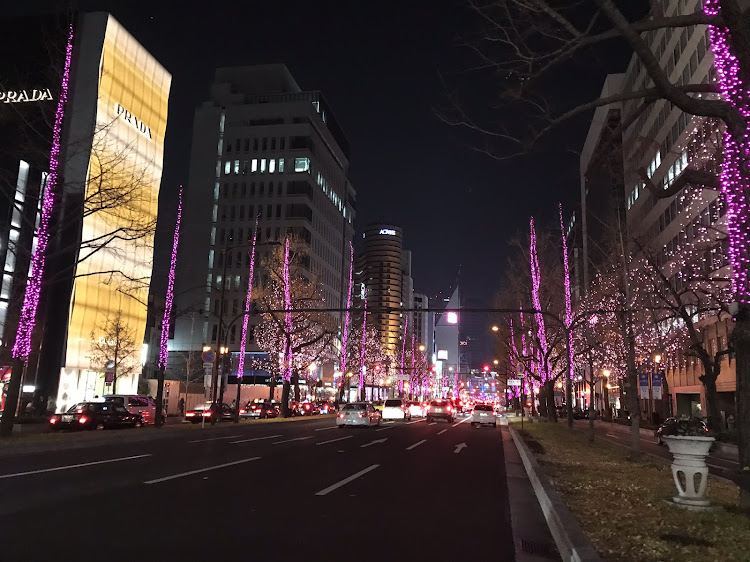 パルサーセリエのパルサーVZ-R N1・アメ村・黒門市場・日本橋・新世界に関するカスタム事例の投稿画像13枚目