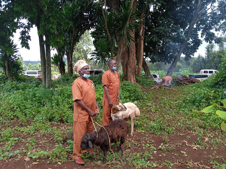 Kirinyaga council of elders presents rams that were offered during the sacrifice