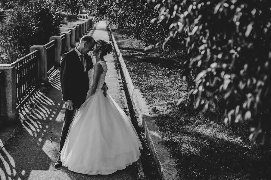 Photographe de mariage Anastasiya Obolenskaya (obolenskaya). Photo du 21 octobre 2019