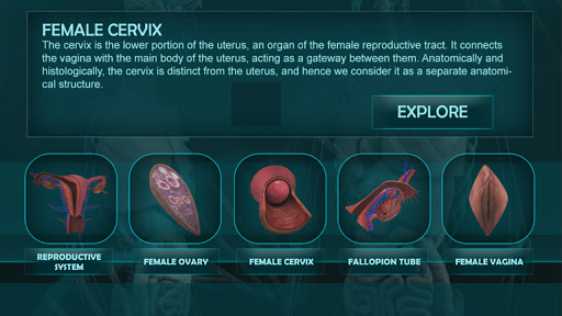 Screenshot Female Reproduction system 3D