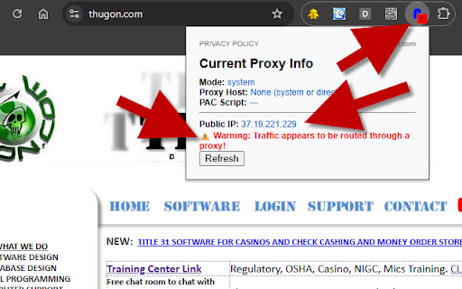 Proxy Detector screenshot 4