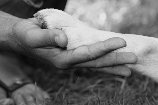 Tendo la mano e trovo la tua... di Kimo