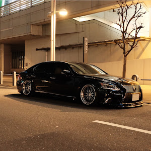 LS USF41