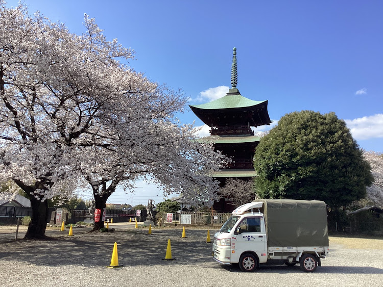 の投稿画像210枚目