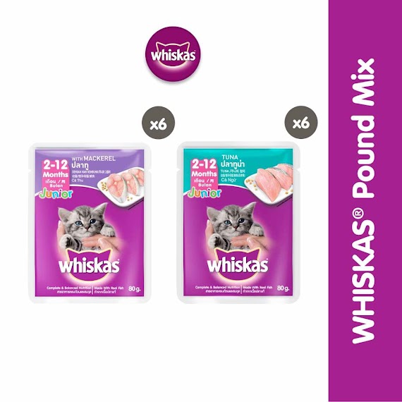 Bộ 12 Túi Thức Ăn Dạng Sốt Cho Mèo Con Whiskas Junior Mix 2 Vị 80G