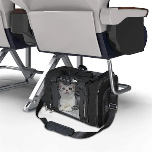 Portable Dog Carrier Bag Cat Bags Travel Mesh Breathable Handbag Foldable Transport Bag for Small Dogs Cats Outgoing