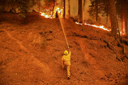 A firefighter holds the line of the Dixie fire near Taylorsville, California, US, on August 10 2021. 