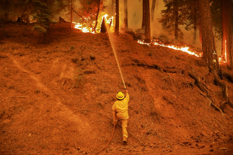 A firefighter holds the line of the Dixie fire near Taylorsville, California, US, on August 10 2021.