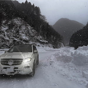 GLS X166