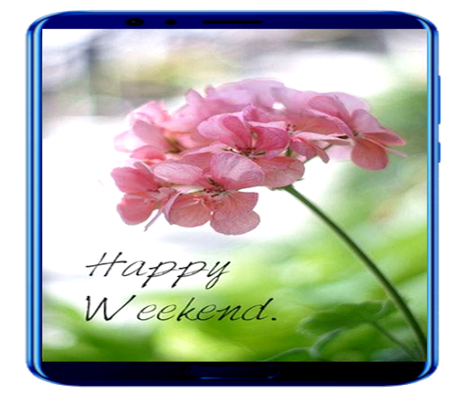 Good day wishes in animated images GIF Happy days