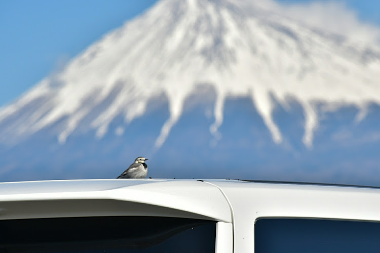 ヴェルファイアの目指せPickUpCars・雪化粧❄・富士山と愛車・コロナが早く終息しますようにに関するカスタム事例の投稿画像3枚目