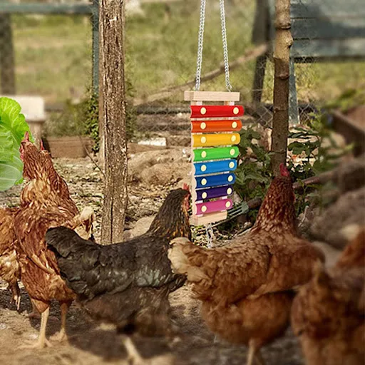 Bird Chicken Xylophone Toy Wooden Colorful Hanging Suspensible Bird Cage Accessories Musical Toy with 8 Keys Bird Traini