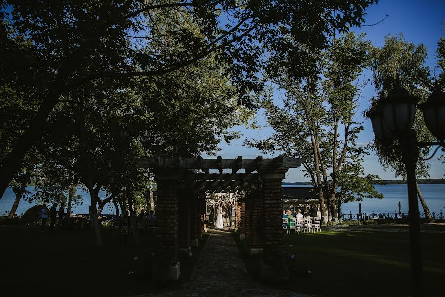 Photographe de mariage Sofiya Testova (testova). Photo du 25 octobre 2018