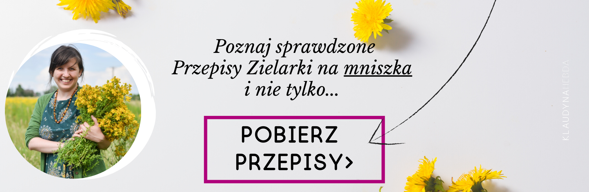 Pobierz Przepisy Zielarki na mniszka!