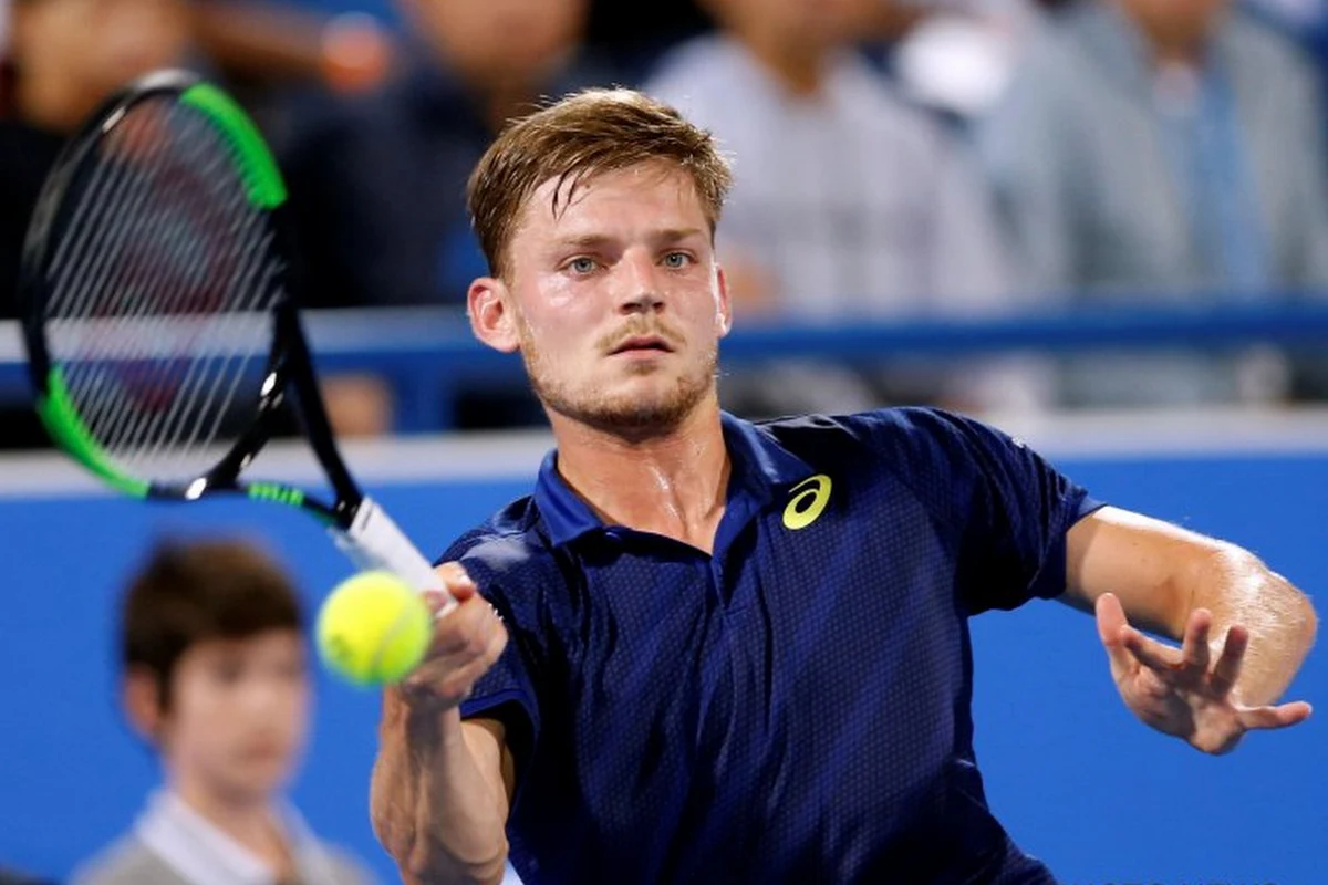 Goffin met het nodige vertrouwen tegen Karlovic: "Ik heb alleszins de wapens"