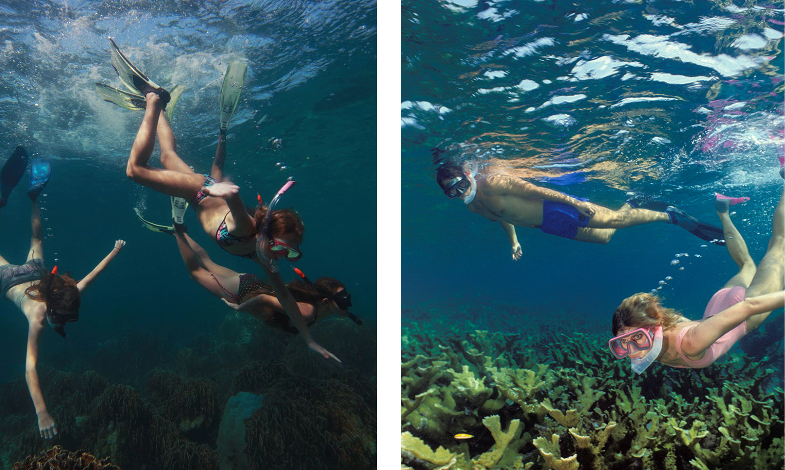 Snorkeling in Hon Mun island (Nha Trang)