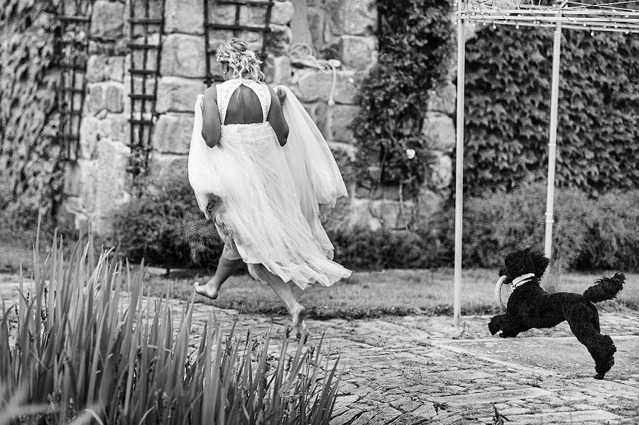 Fotógrafo de bodas Petr Wagenknecht (wagenknecht). Foto del 27 de junio 2021