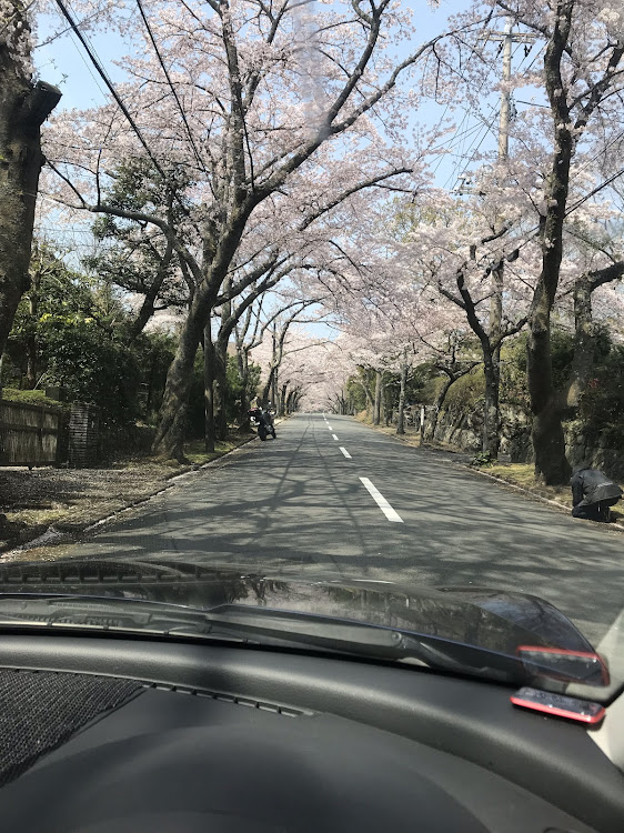 RX-8のにさんが投稿したカスタム事例の投稿画像4枚目
