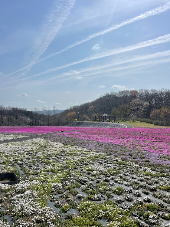 の投稿画像4枚目