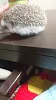 ユーザー
