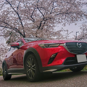 CX-3 DK5FW