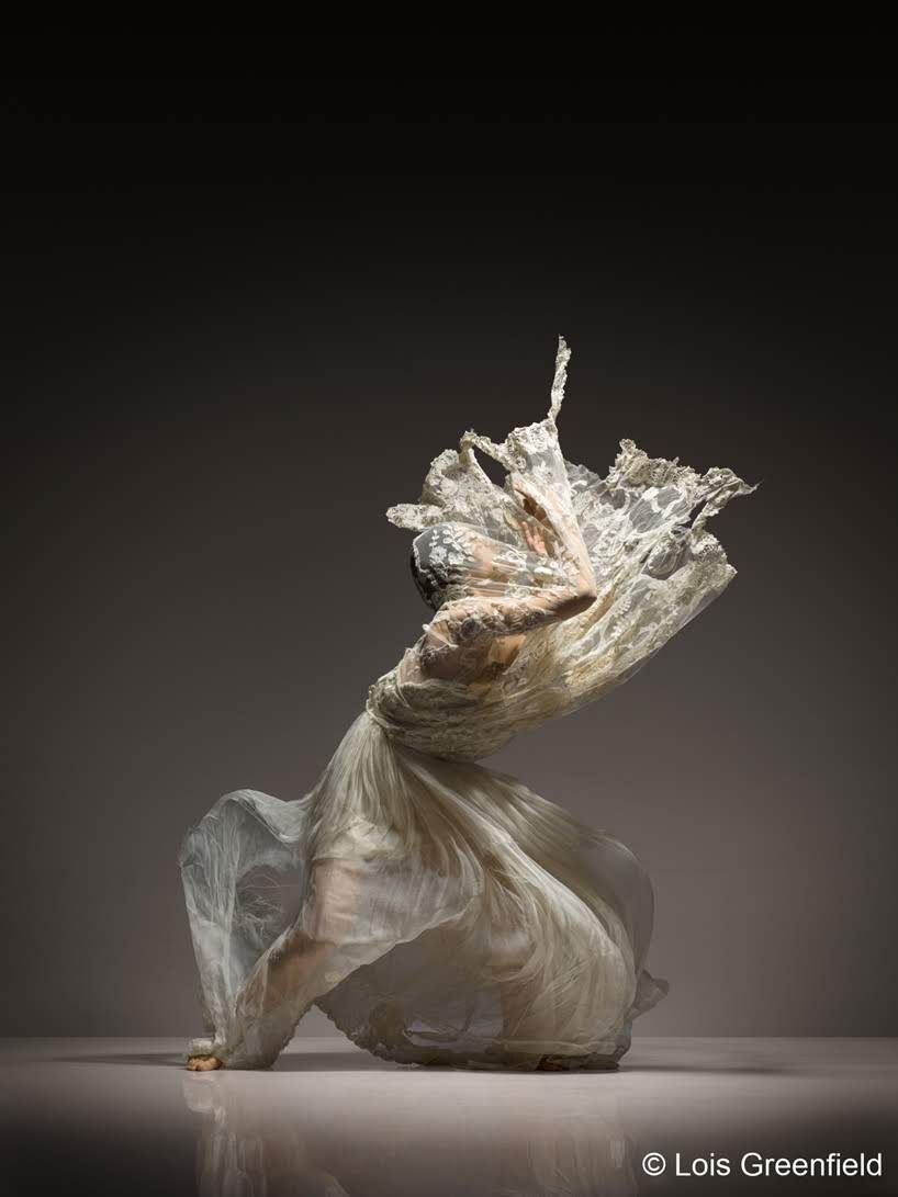 Fotografías de una danza en movimiento por Lois Greenfield