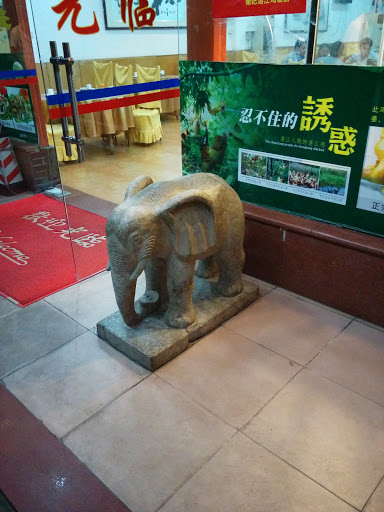 小象