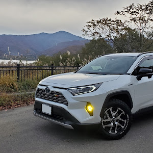 RAV4 AXAH54