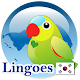 Lingoes Korean Vietnamese Free Offline Dictionary Download on Windows