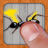 Ant Smasher, Best Free Game mobile app icon