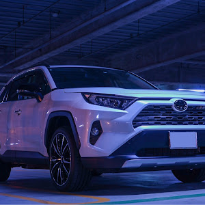 RAV4 MXAA54