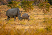 South African Tourism says SA borders remain open for leisure tourists and business events. Stock photo.