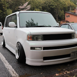 bB NCP31