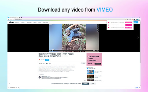 QuickVideo Downloader