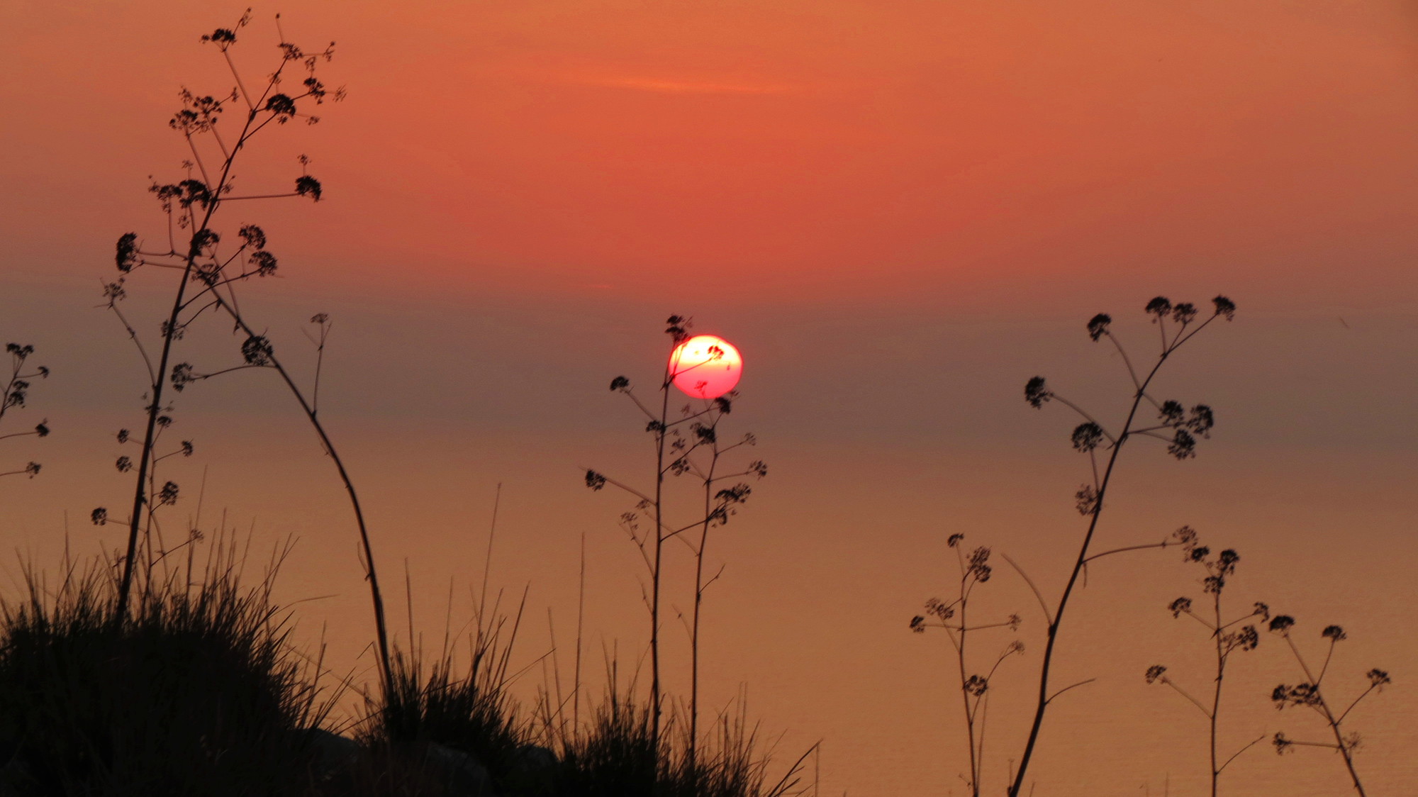 Red sunset di itssuze